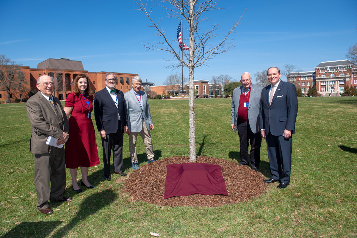 Six people posed around a newly planted tree